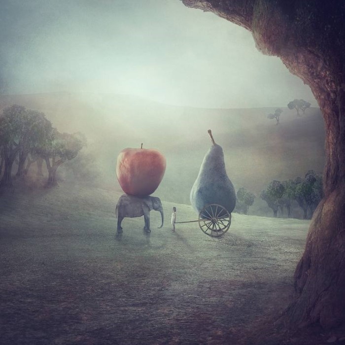 Фотограф и визуальный художник. Nikolina Petolas