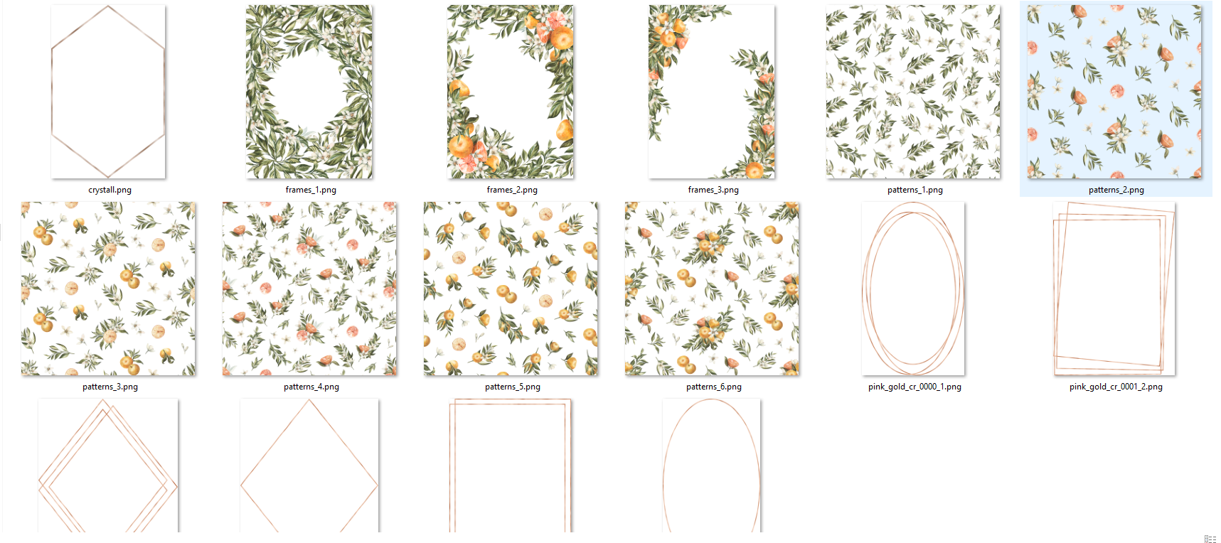 Cut-out png images of different flowers and flower motifs with the highest quality for printing on materials