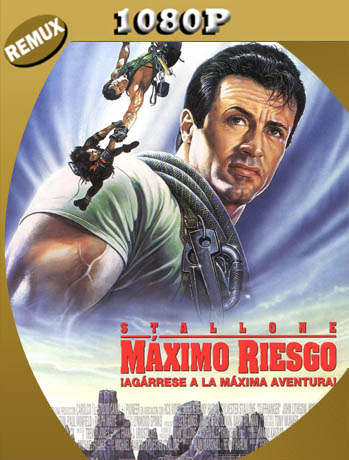 Riesgo Total (1993) REMUX [1080p] Latino [GoogleDrive] SXGO
