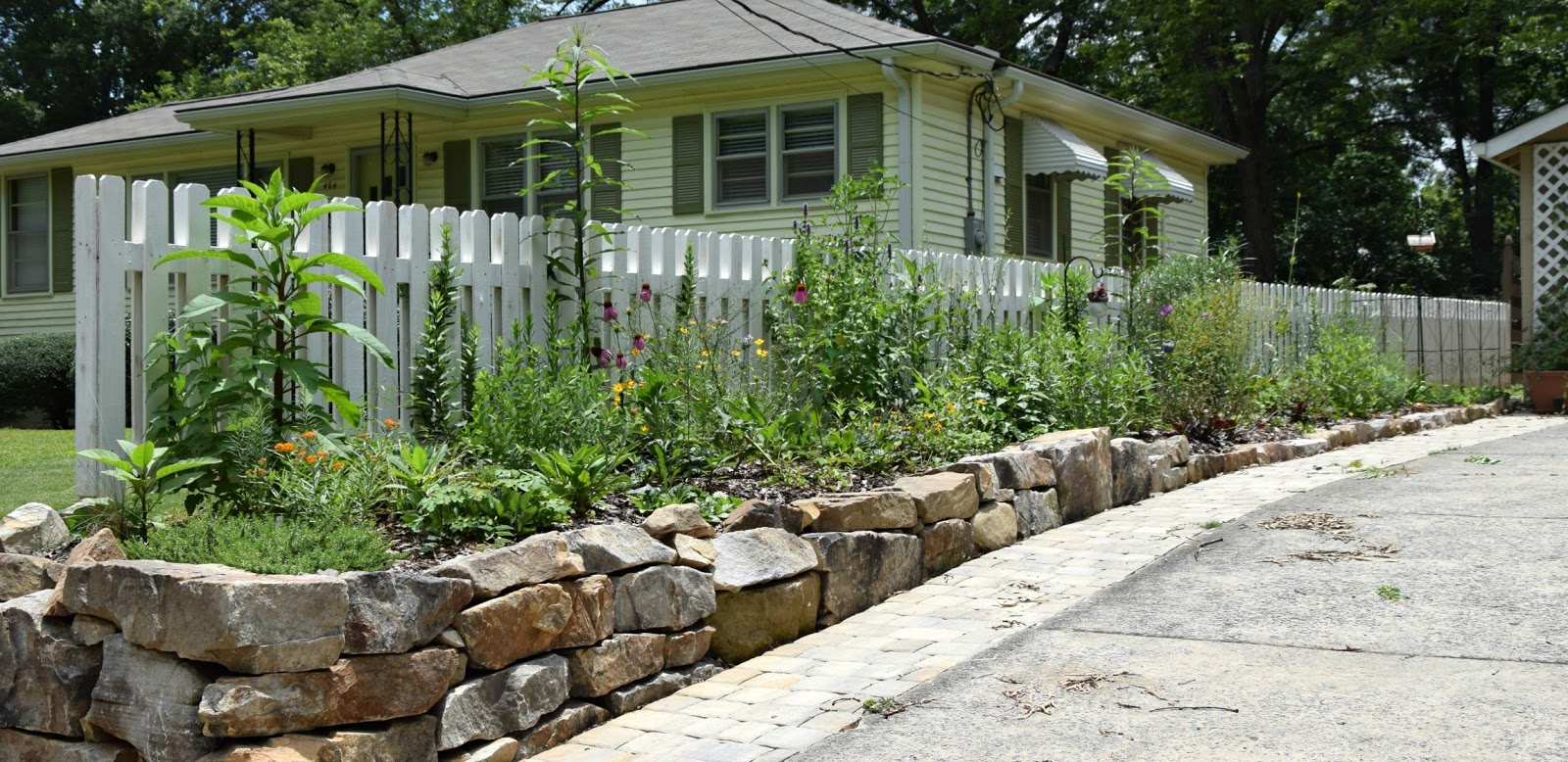 Using Native Plants Cues of Care When Using Native Plants