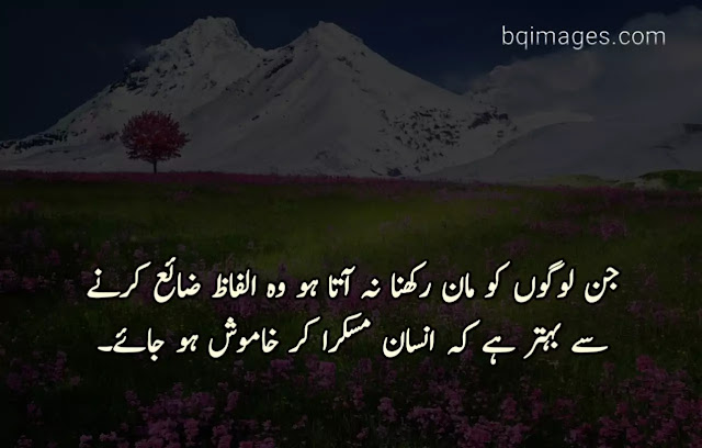 Golden Words in Urdu