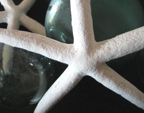 cast plaster starfish