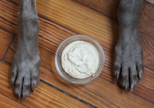 homemade frosty paws for dogs
