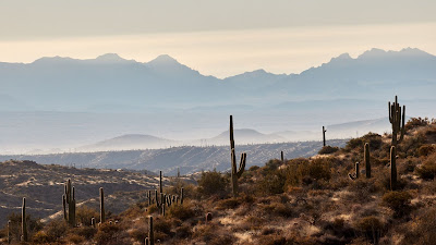 HD Wallpaper Mountains, Hills, Cacti, Bush, Fog