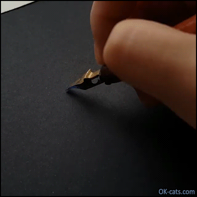 Funny Cat GIF • Jerk cat does not want to see more Calligraphy. “Stop, it's enough for today!”[ok-cats.com]