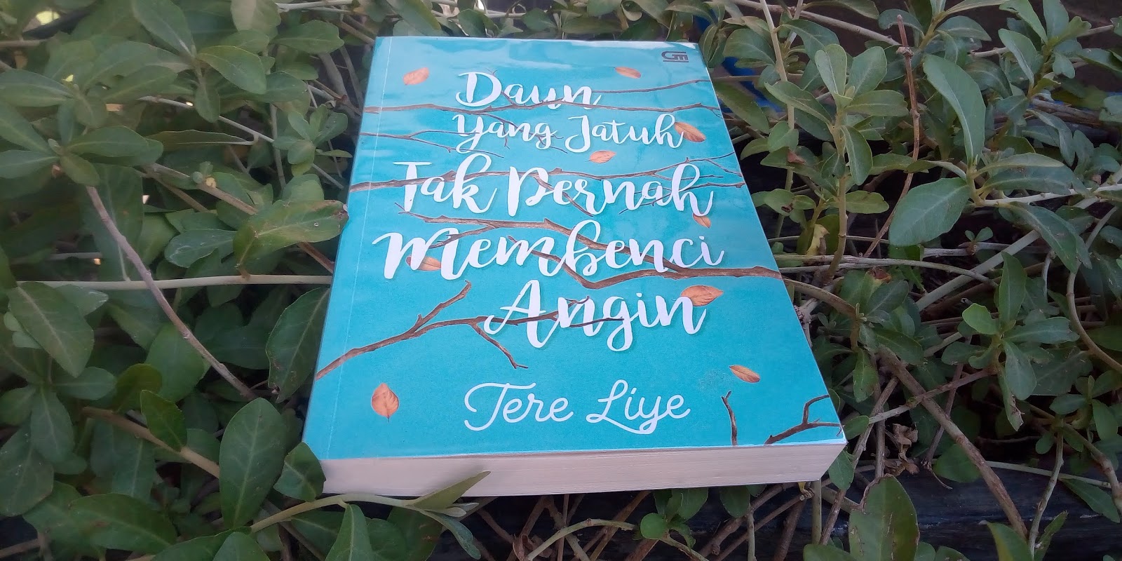 Mhy_257 REVIEW NOVEL DAUN YANG JATUH TAK PERNAH MEMBENCI