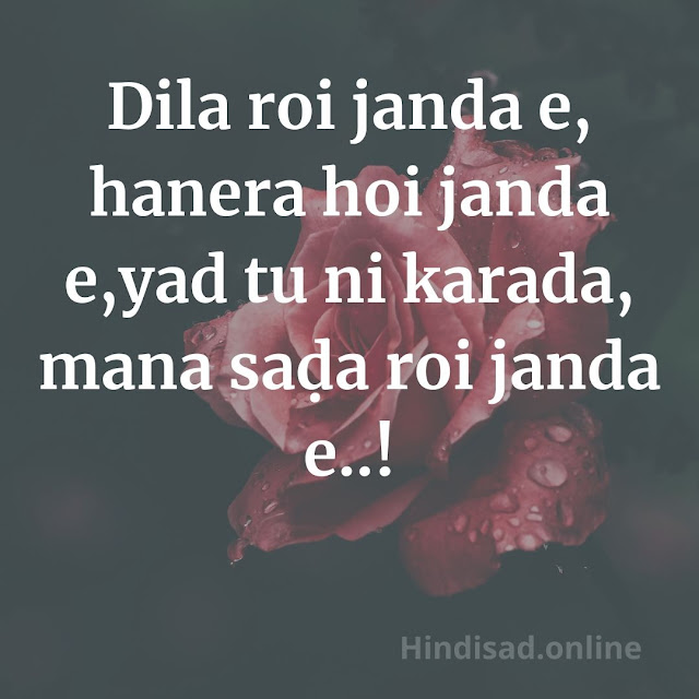 Sad Status In Punjabi For Whatsapp And FB Today Updated