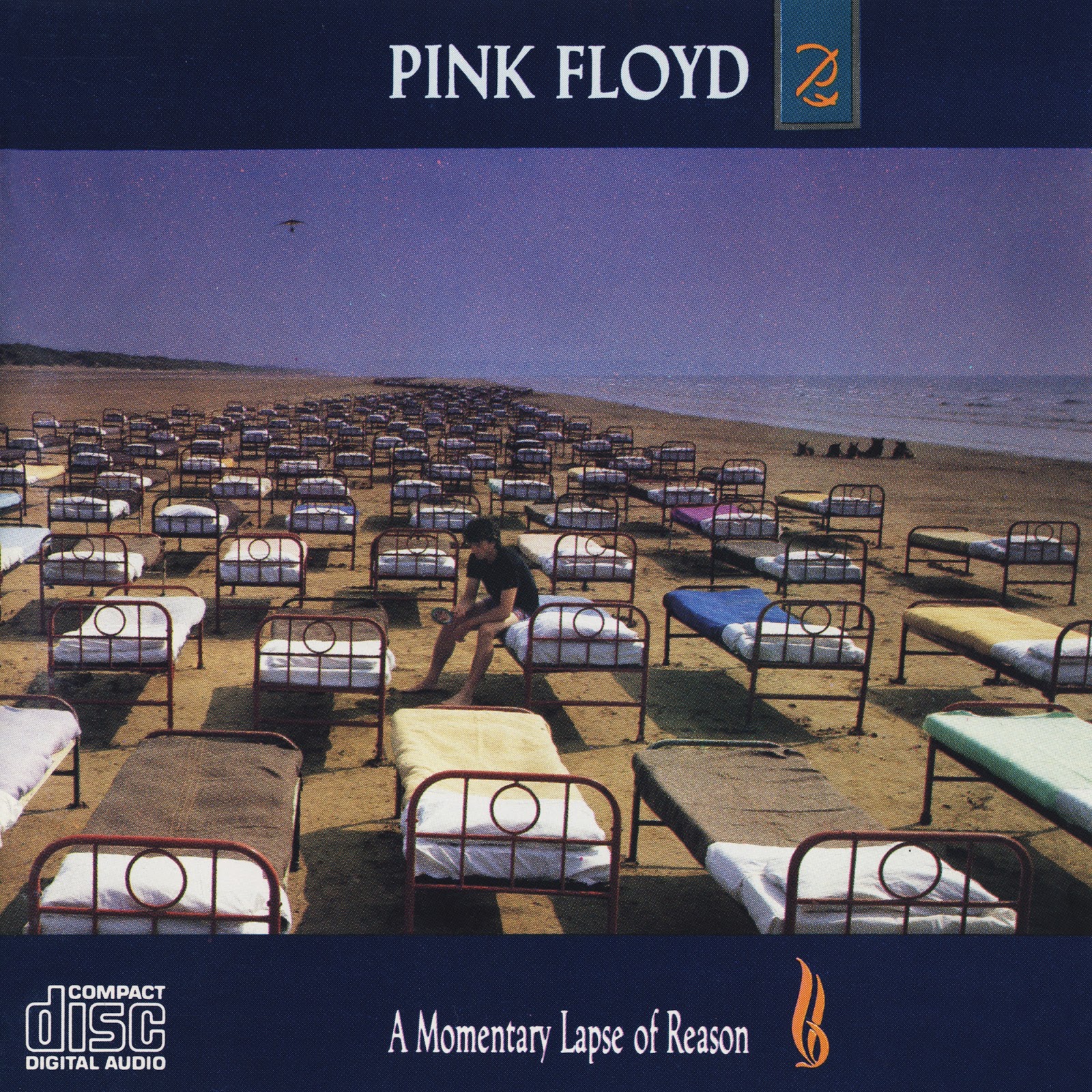 Pink Floyd Ilustrado A Momentary Lapse Of Reason C.D Austria