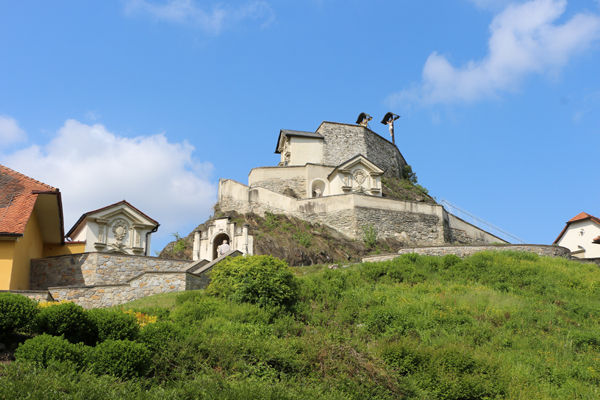 How To Stop A Grazer In Her Tracks Marissa Vicario