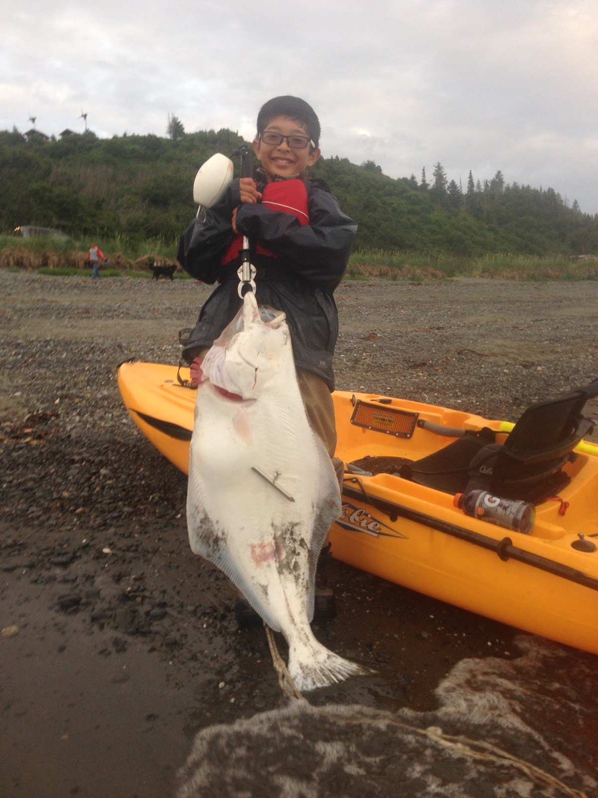 Rudy's Alaska Fishing Blogs: Ryu's first Halibut June 27