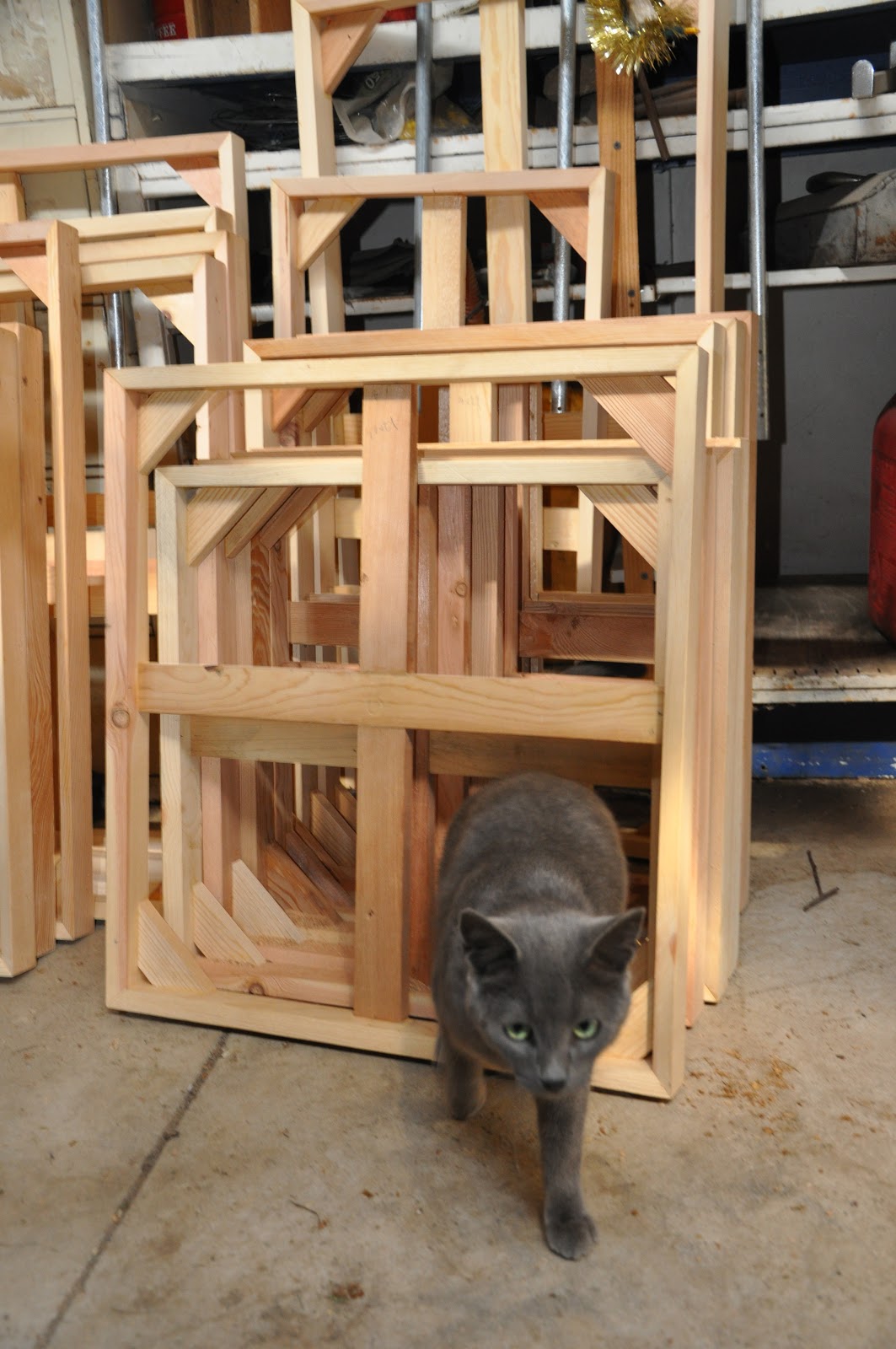 building a woodshop