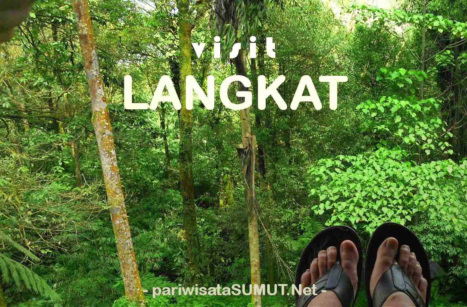 20 Tempat Wisata Di Kabupaten Langkat - Pariwisata Sumut