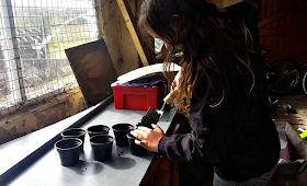 My youngest filling plant pots with compost 
