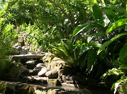 tropical garden minimalist