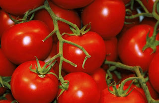 selain untuk kesehatan, tomat juga ternyata memiliki banyak manfaat untuk kesehatan dan kecantikan kulit, termasuk kulit wajah. 