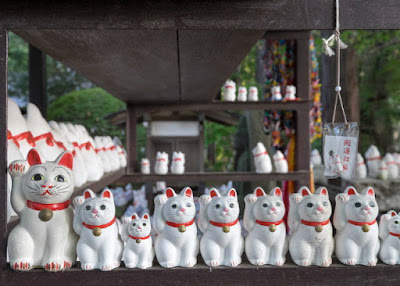 Many fortune cats at temple