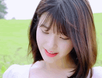 pann.com