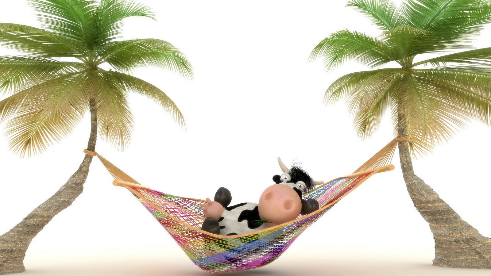 Cow relaxing in Hammock - Wallpapers