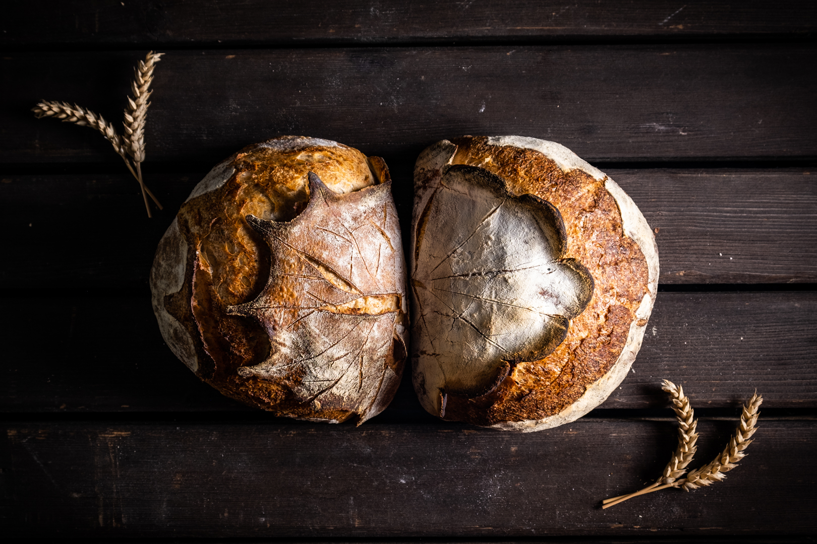 La Tabatière du Jura Sourdough Bread Hungry Shots