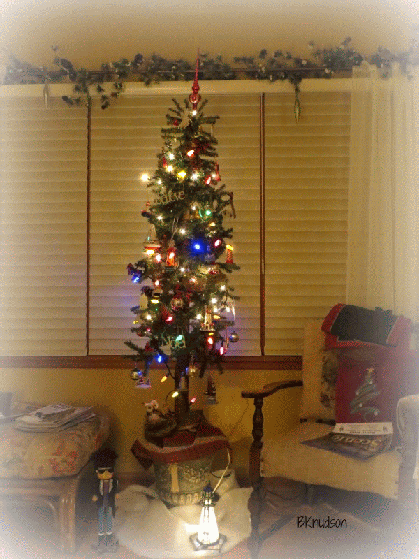 Grandma Barbs This and That My Christmas Tree