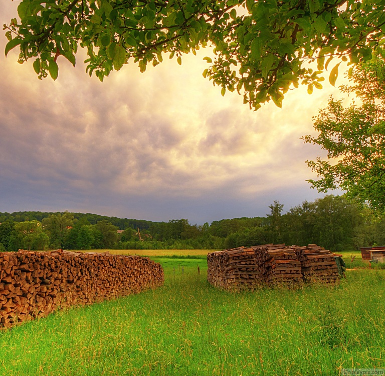 Beautiful Nature Profile Pictures Top Profile Pictures Display Pictures