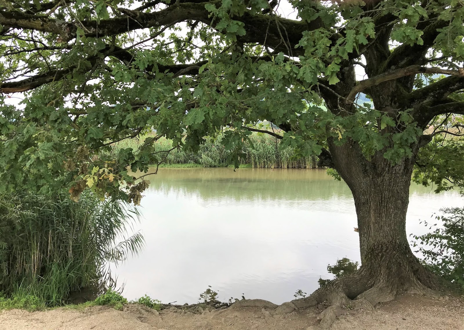 Pin Auf Geburigeschenke