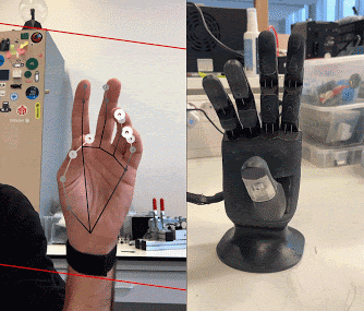 A demonstration of using MediaPipe hand tracking to move a robotic hand’s fingers with the Mirru app.