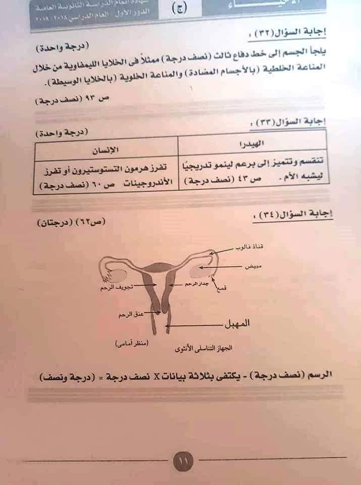 إجابة إمتحان الأحياء للثانوية العامة 2019 0%2B%25285%2529