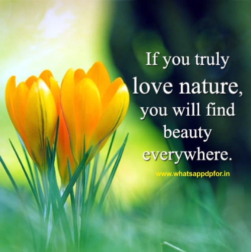 [314+ NEW] Nature Images For Whatsapp Profile Nature Whatsapp DP Download