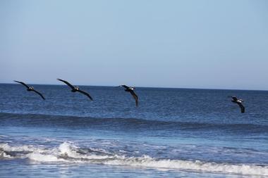 Canova Beach Park