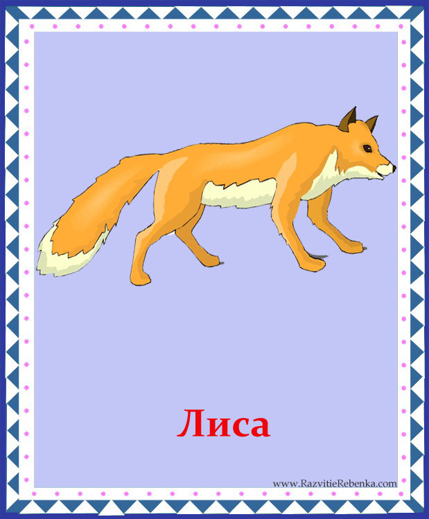 Заяц волк лиса это. Лиса карточка для детей. Карточка с изображением лиса для детей. Волк карточка для детей. Карточка медведь заяц лиса.