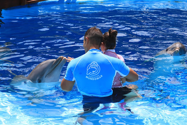 terapia con delfines