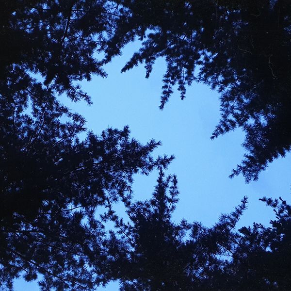 Cho Hyung Woo – To You, Whom I Loved The Most – Single