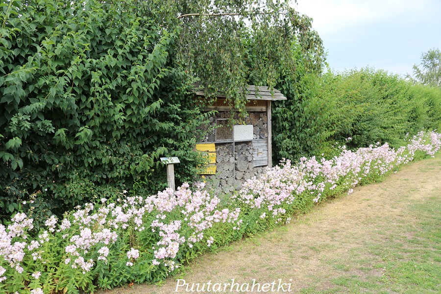 Puutarhavierailulla Botanischer Garten Mellenthin, Usedom, Saksa, osa