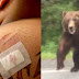 "Você não precisa fazer isso": homem tenta ARGUMENTAR com urso que tentava afogá-lo