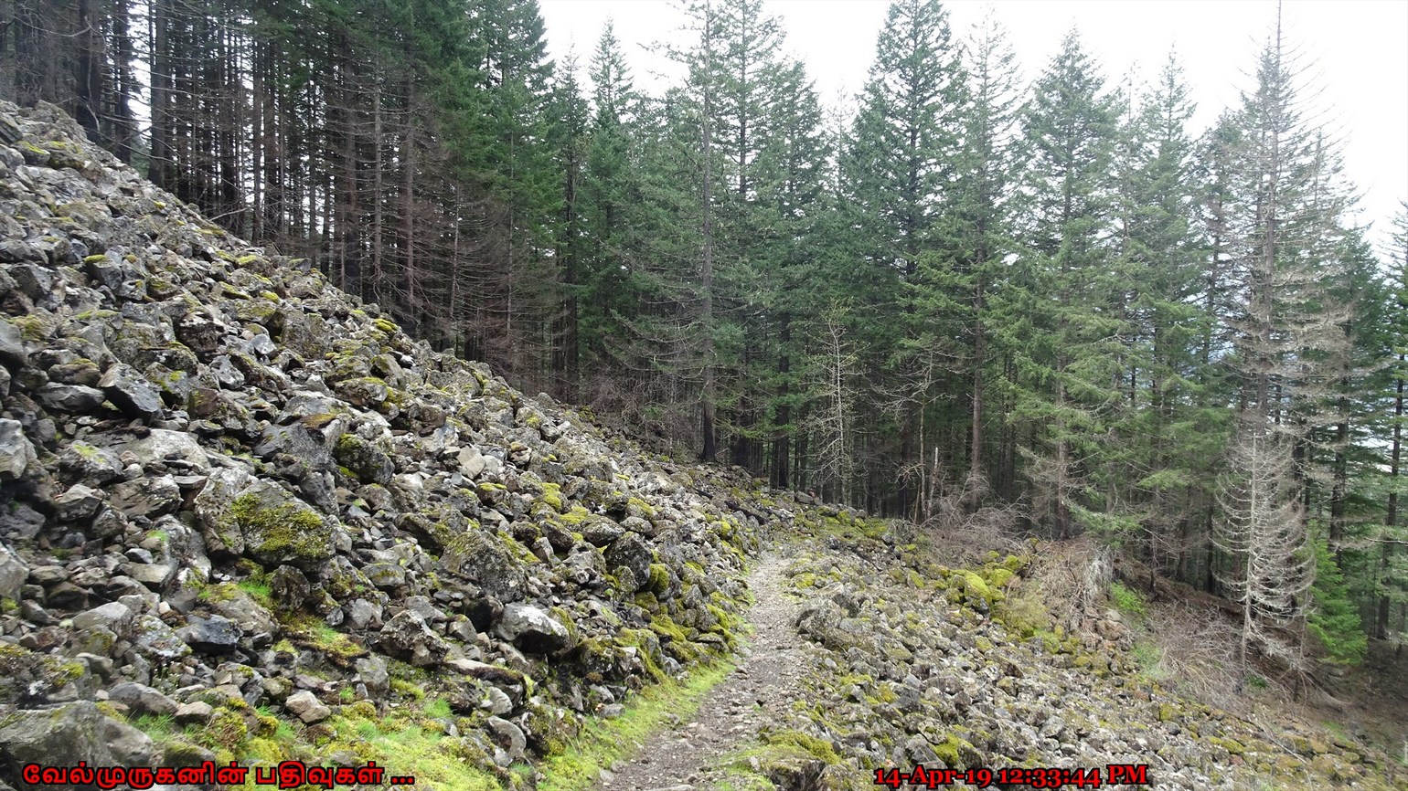 Dry Creek Falls Hike Oregon Exploring My Life