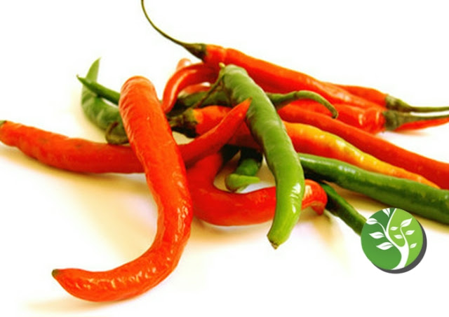 El compuesto de pimiento picante puede reducir la obesidad