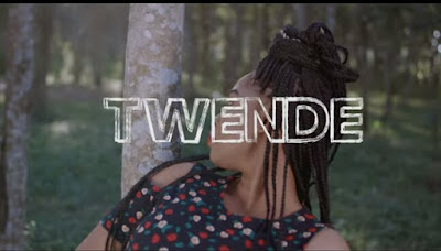 VIDEO | Foby Ft Barnaba - Twende | download