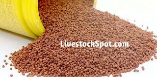 6 Steps On How To Produce Fish Feed In Nigeria