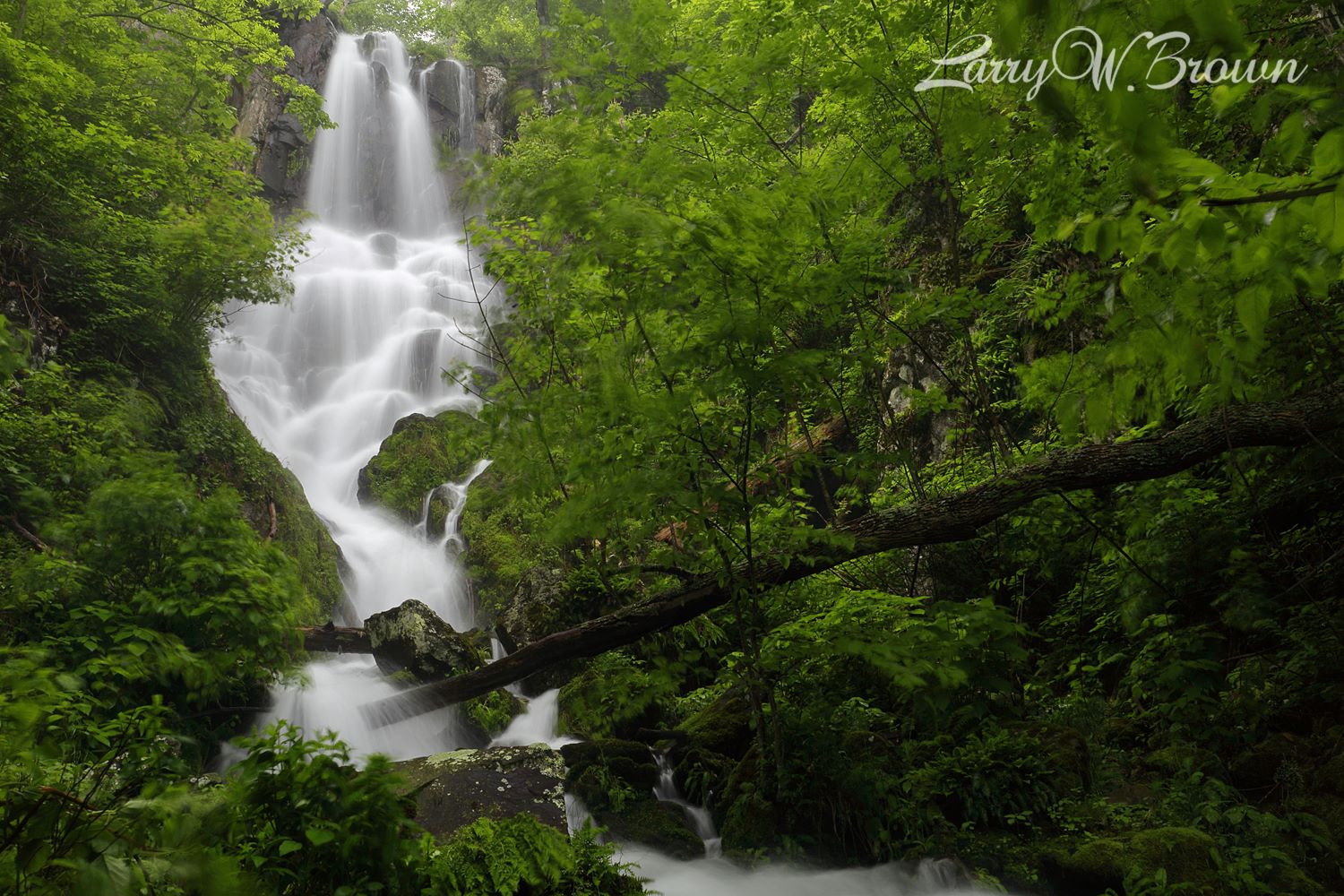 Shenandoah National Park Waterfalls Guide: Lewis Falls