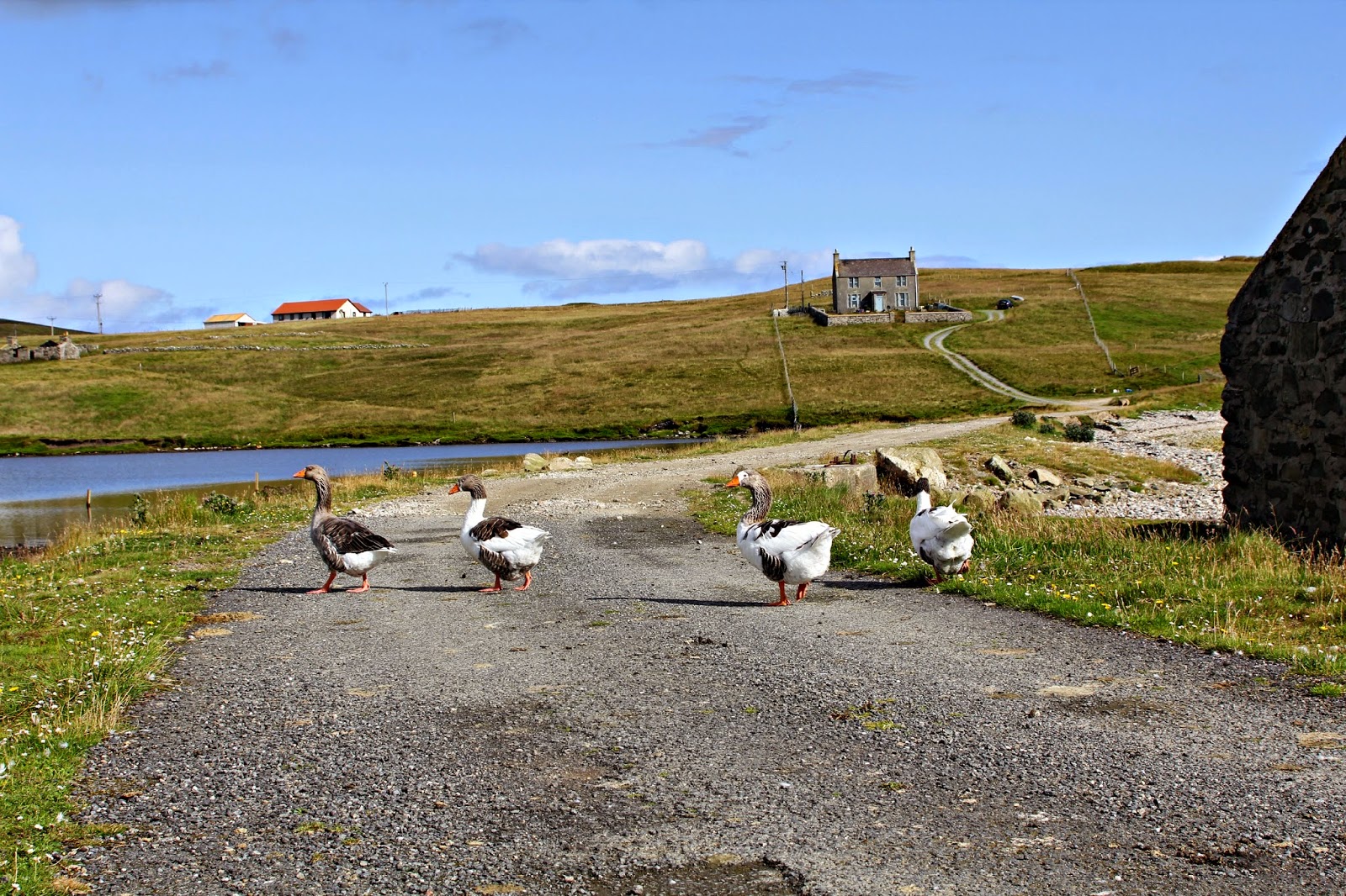lori times five shetland memories