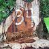 DENR still on the hunt of perpetrators who illegally cut down dozens of Narra trees inside Sorsogon Eco park