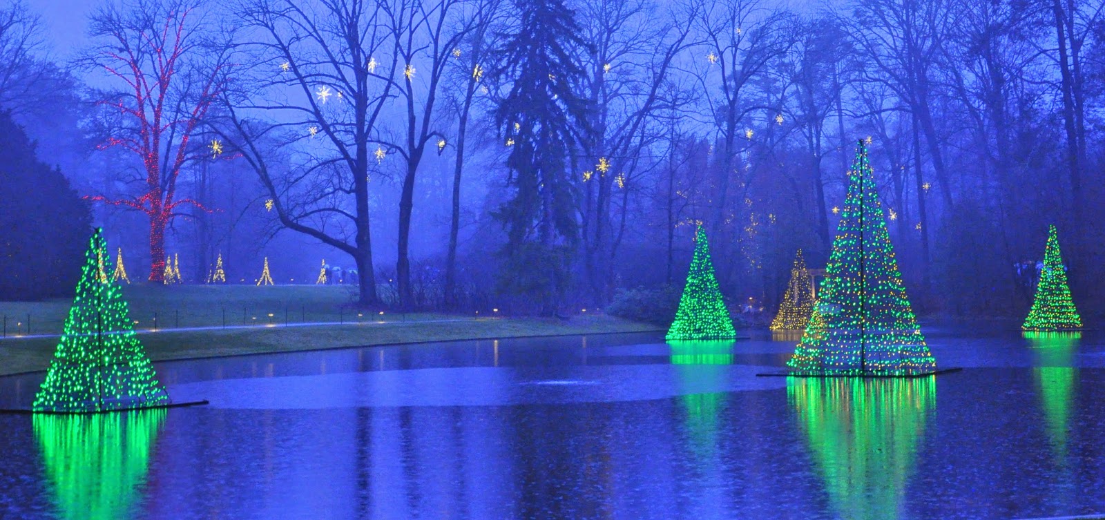 MidAtlantic DayTrips Enjoying the Holiday Sights at Longwood Gardens