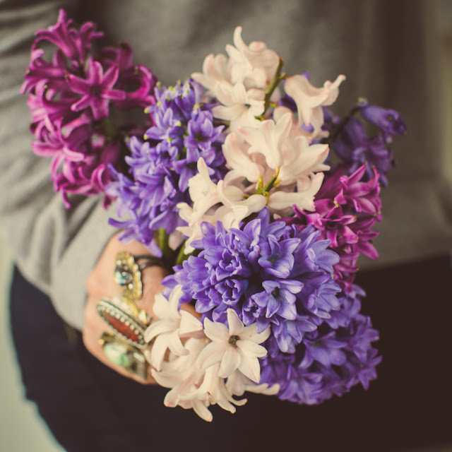 hyacinths, Hedgerow Rose