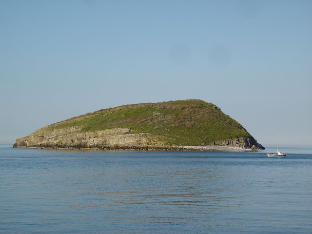 Puffin_Island_%2528Ynys_Seiriol%2529%252C_Anglesey.JPG