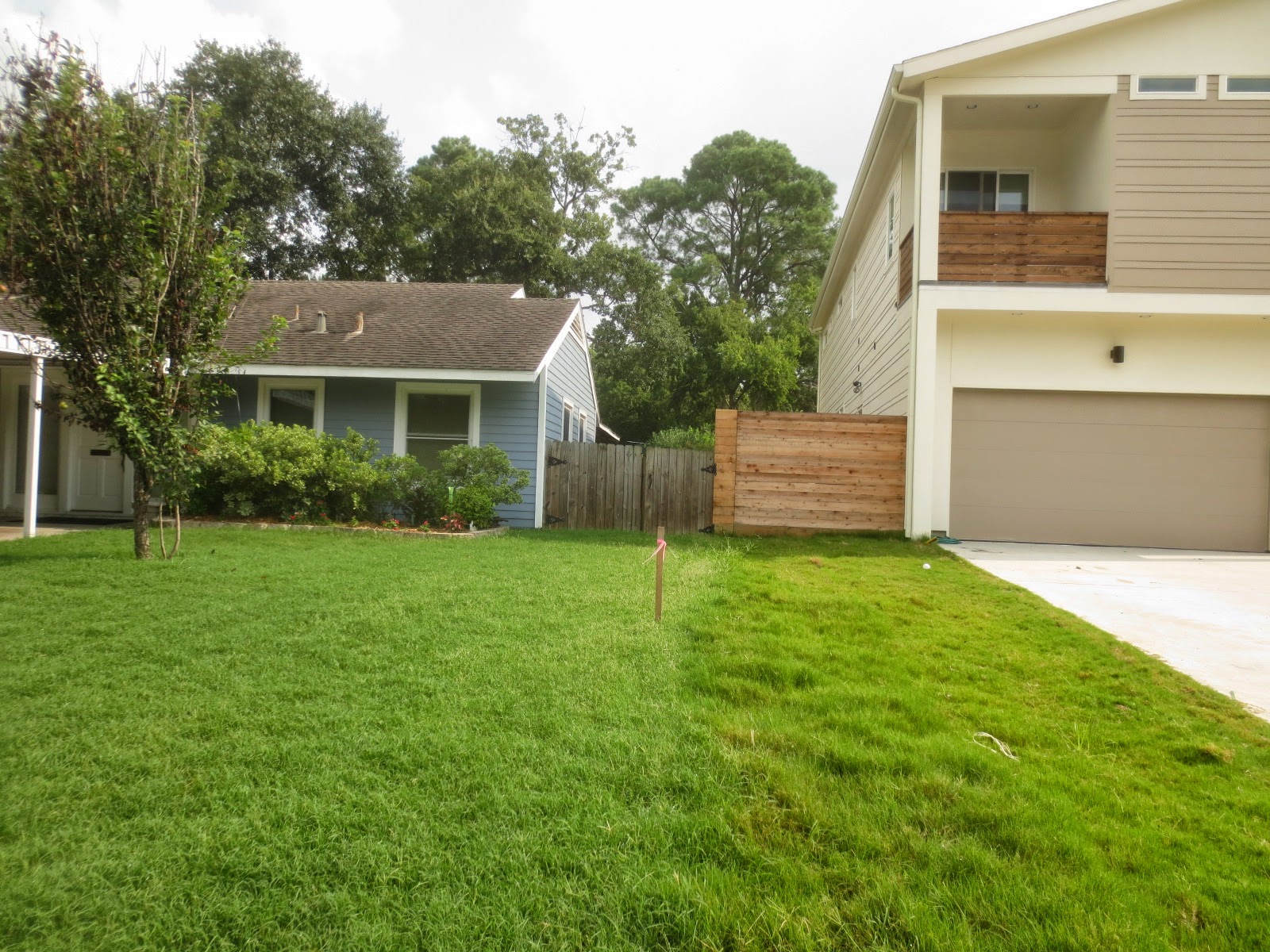 Tropical Texana PREVENTING YARD WARS! BOUNDARY IDEAS WHEN PHILOSOPHIES DIFFER