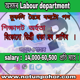 Junior assistant 