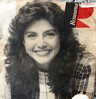 Festa Anivers�rio Roseana Sarney