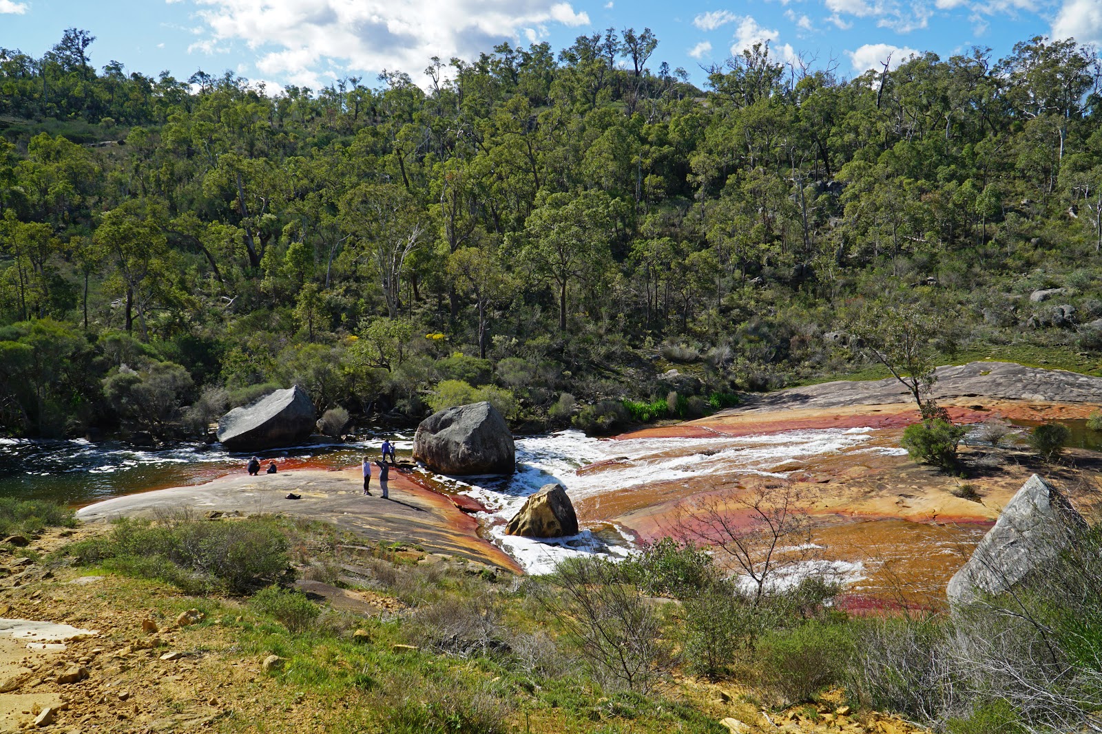 FR Berry Walk Trail (FR Berry Reserve) The Long Way's Better