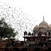 Moosi Maharani Ki Chhatri, Alwar